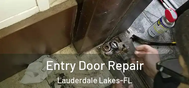 Entry Door Repair Lauderdale Lakes-FL